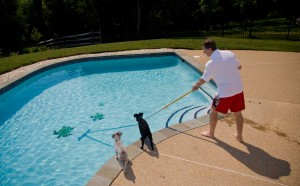 Swimming Pool Renovations