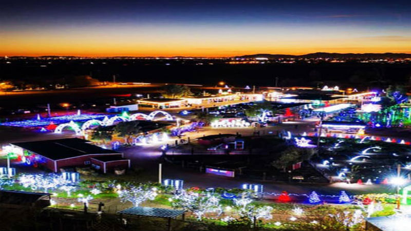 Reason Christmas Lights Spark Joy During the Holiday Season in Mesa
