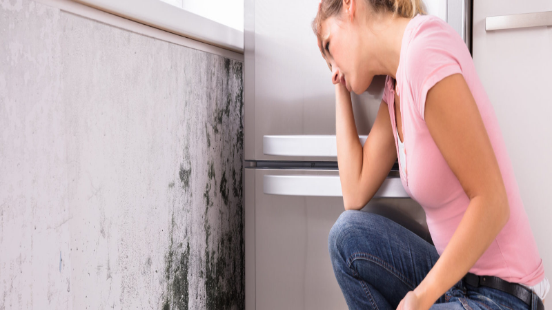 The Benefits Of Mold Removal In Hendersonville, NC
