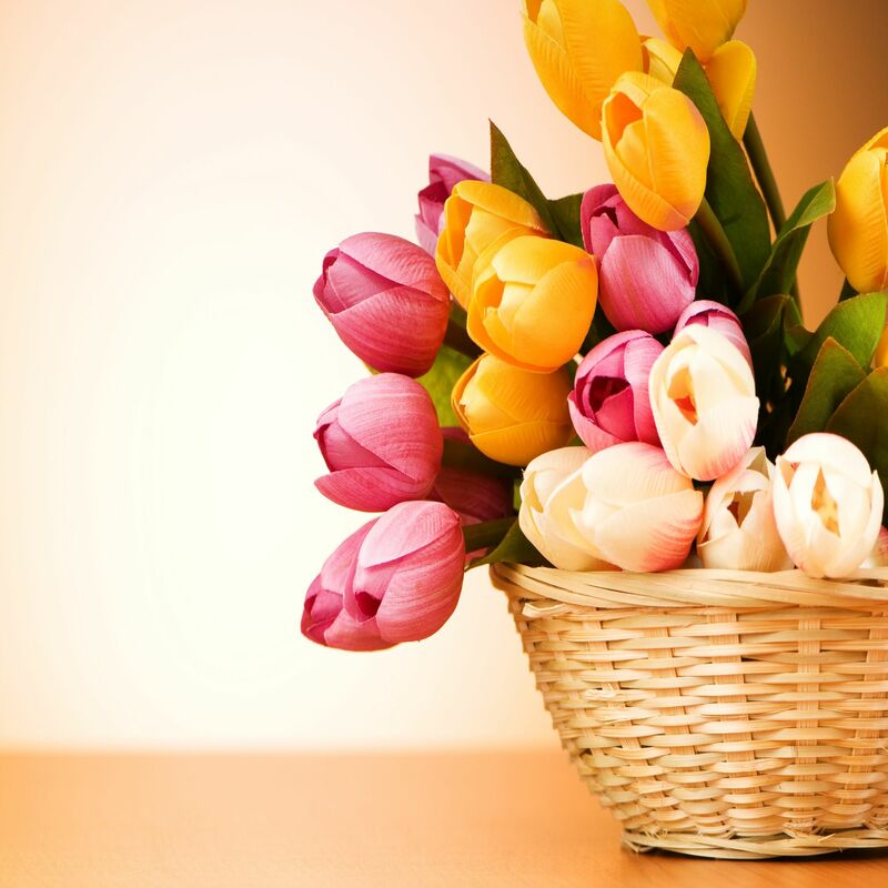 Why Should You Opt for Mother’s Day Flowers in Las Vegas, NV?