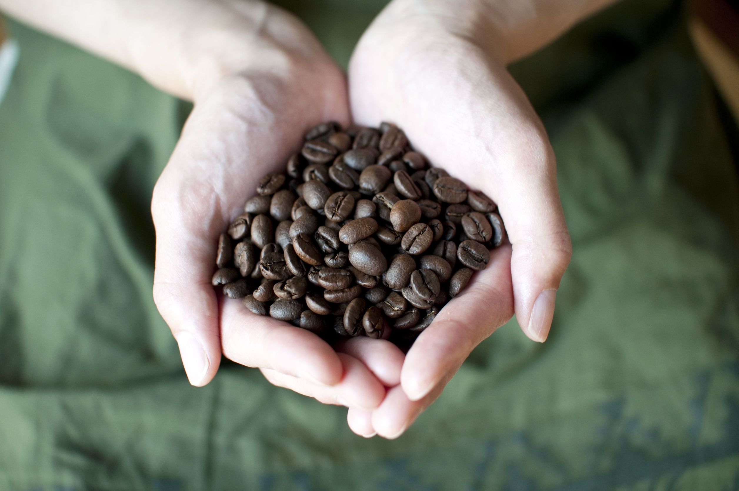 Enjoy Fresh Air Roasted Coffee in Walled Lake to Start Your Day Right