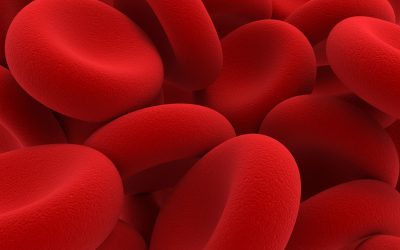 Where You Can Easily Find the Best Stem Cell Treatment in Miami, FL