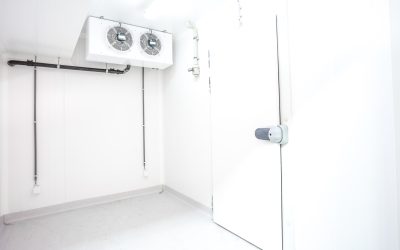 Maximizing Efficiency with the Right Cold Storage Doors in the USA