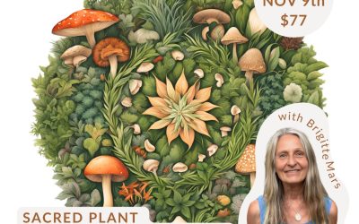 Bridging life’s final chapter: The impact of death doula courses