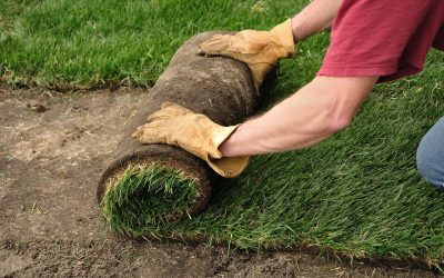 The Benefits Homeowners Gain With Artificial Turf Installation Henderson NV