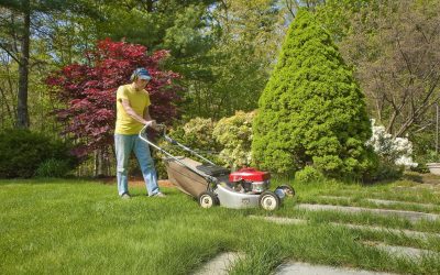 Expert Landscaper Serving Goshen, IN: Transform Your Outdoor Space