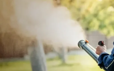 How to Choose the Right Lawn Care Company Shelbyville, KY Residents Can Trust for Healthy Lawns