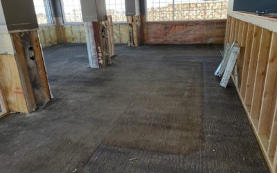 Trustworthy Water Damage Companies Coon Rapids Residents Can Rely on for Fast Recovery