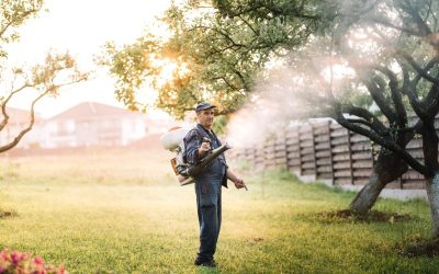 Effective ways to achieve mosquito control in Barnstable County MA homeowners can trust for safer summers