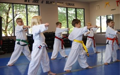 Teen Martial Arts Training: Building Confidence and Discipline for Life