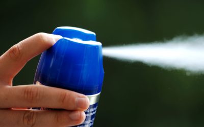 Secure Your Family’s Comfort With Home Pest Control Services Richmond VA Residents Trust