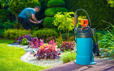 Benefits of Tree Service Adams County CO for Healthy Yards and Property Value