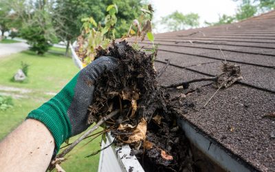 Prevent Water Damage By Scheduling Gutter Cleaning Collierville TN Homeowners Need
