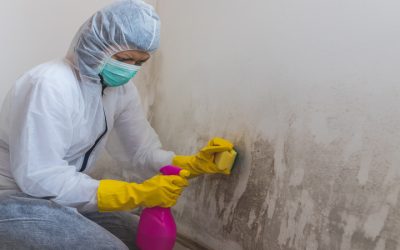 Safe Homes Begin With Professional Mold Removal In Denver, CO, Solutions for All