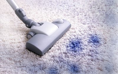 Clean Living Spaces Begin with a Professional Carpet Cleaning Service Draper UT Experts Provide