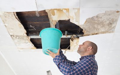 Fast Action Steps for Water Damage Cleanup Temecula CA Homeowners Should Know