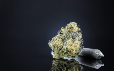 Unwind with THCA Pre Rolls for Sale Perfect for Relaxation and Everyday Enjoyment