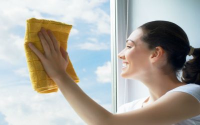 Get Lasting Cleanliness with House Cleaning Services In South Tampa, FL, for Modern Lifestyles
