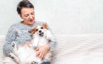 Essential Tips for Happy Pets with Dog Care in Lewisville, TX Solutions That Work