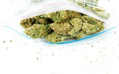 Enjoy Smooth Convenience When You Buy Pre Rolls Online for Fast Home Delivery