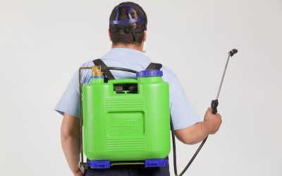 The Hidden Benefits of Hiring a Pest Control Contractor in Sarasota FL for Your Home