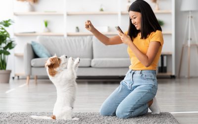 Keeping Your Pup Happy and Active at Dog Daycare Apple Valley MN