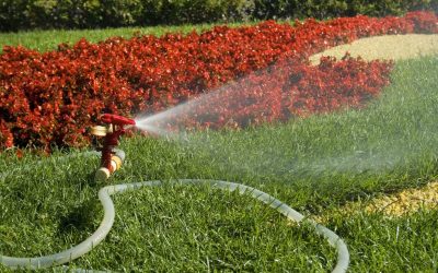 Extend Lawn Lifespan Through Smart In-Ground Sprinkler Maintenance In Denver, CO Practices