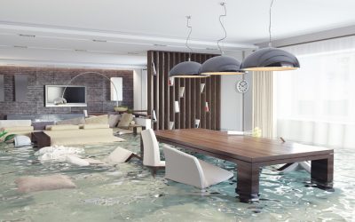 Get Back to Normal Quickly With Emergency Restoration Services in Mount Vernon, WA