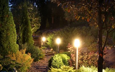 Beautiful Outdoor Spaces Start with a Landscape Lighting Electrician Tampa, FL