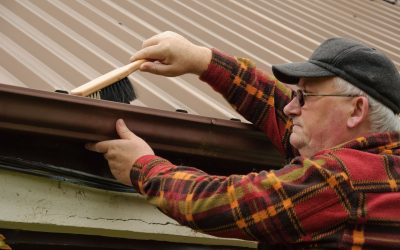 Protect Your Home From Water Damage With Gutter Cleaning in Santa Rosa Beach, FL Services
