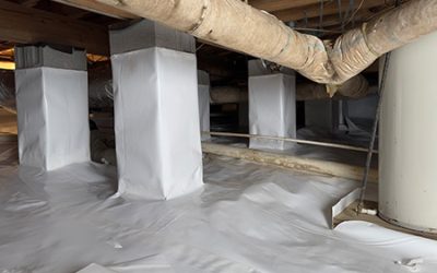 Learn how to get rid of mold in my crawl space Arkansas for a healthier home environment