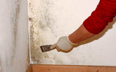 Enjoy Flawless Walls When You Trust Drywall Contractors Holly Springs GA for Your Home