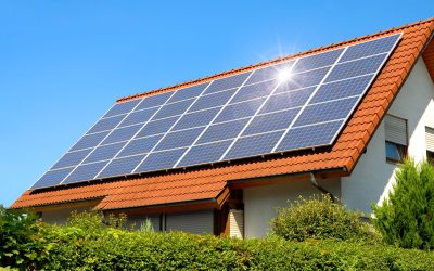 Secure Peak Efficiency Using Bird-Proofing Solar Panels, Oahu, HI Experts Recommend