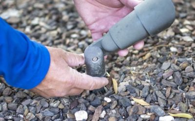 How Professional Landscape Lighting Installation Enhances Safety and Curb Appeal in Peoria, AZ