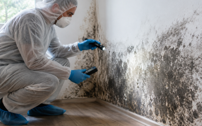 Protect Your Family with Mold Inspection Buffalo NY and Prevent Unexpected Damage