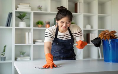 Maintain a Healthier Environment as House Cleaners In Milford, OH Tackle Tough Stains and Messes