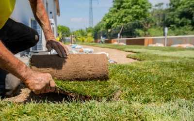Why Landscaping Services Blaine MN Can Solve Common Yard Challenges Easily