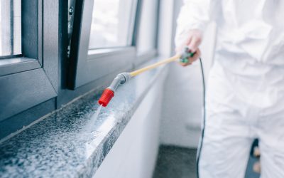 Immediate Relief from Infestations with Pest Control Services Cedar Grove NJ