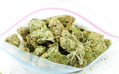 Storage and Compliance Tips for Bulk THCA Flower in the USA