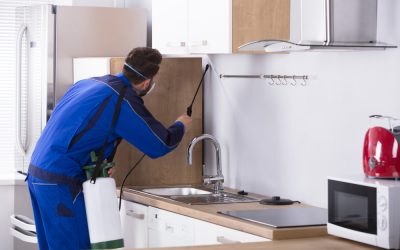 Effective solutions for home protection with pest control services that Bradenton Beach residents trust
