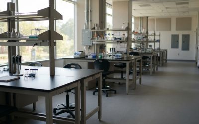 What to Look for When Choosing a Laboratory Bench Manufacturer