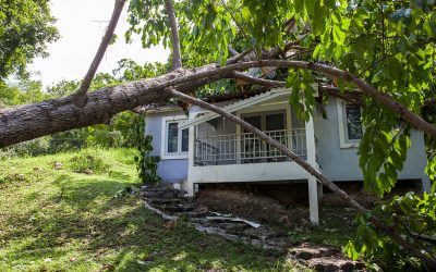 Key Benefits of Choosing Disaster Recovery Services in Lewisville, TX for Peace of Mind