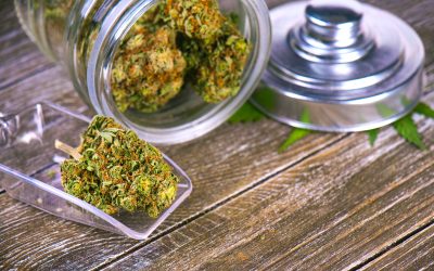 Find Out How to Buy Cannabis Online in Grand Junction, CO with Secure Delivery Options