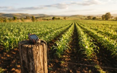 A Complete Guide to Choosing the Right Farm Management Software
